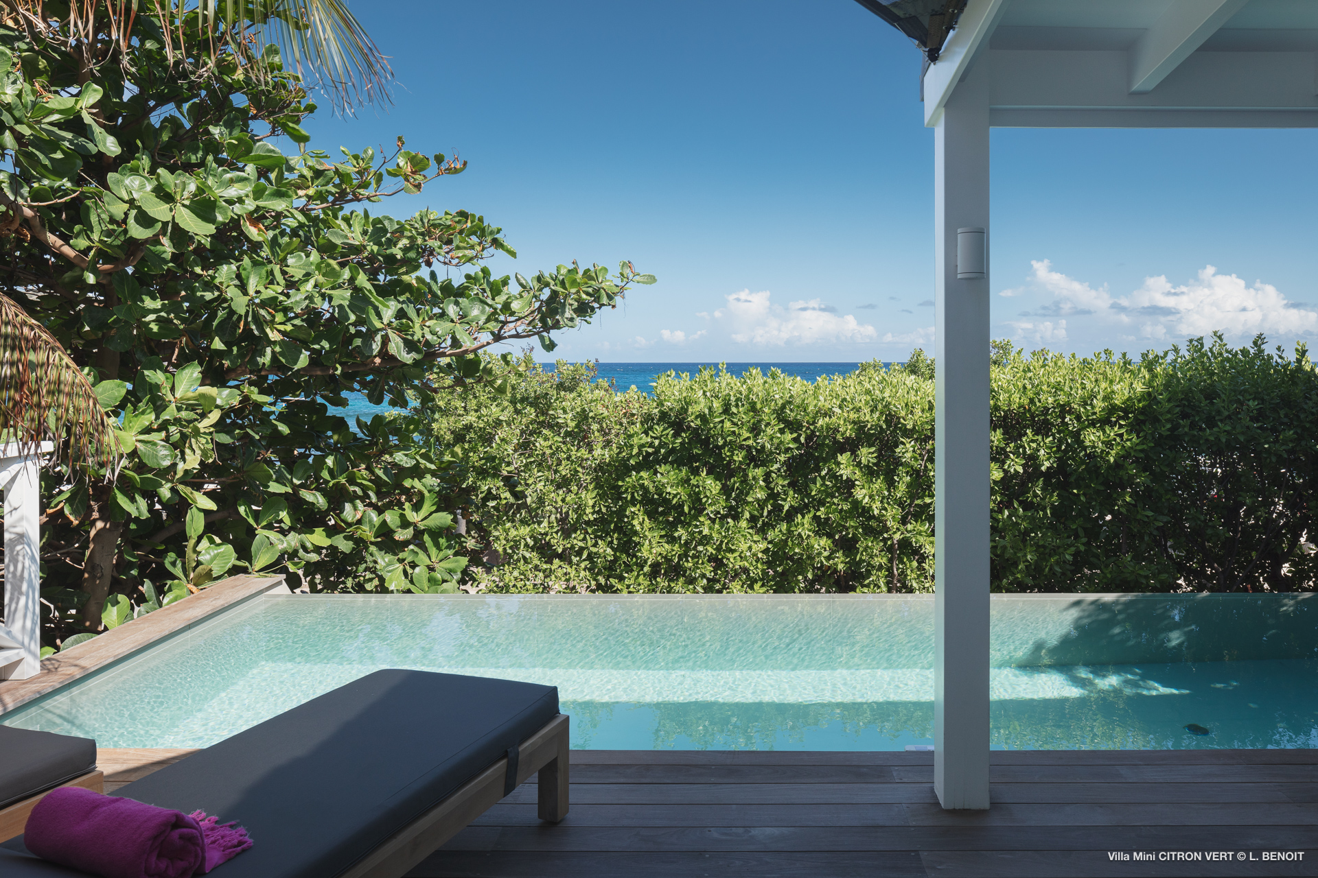 Mini Citron Vert — Saint-Barthélemy